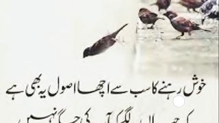 khush rehna sikho .... quotes
