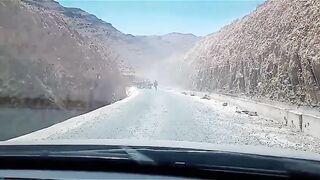 Camels on the road