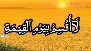 ارح قلبك