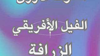 اكبر حيوان