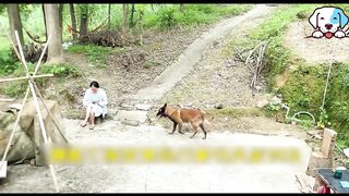 30 Dogs and Cats That Saved Humans Lives