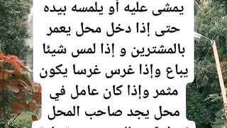 زوهري