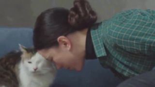 10 Bizarre Pet Phenomena: Unleashing the Mystery #pets #petslovers #cats #catslovers #dogs #dogslovers #animals #animalslovers