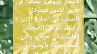 تدخل الصحبة الصالحة في حياة الزوهري
