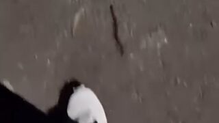 "AAHÆHÆHÆHAÆŒU"