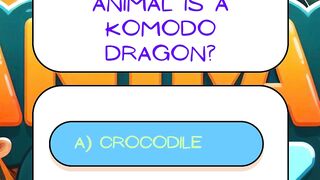 Komodo dragon