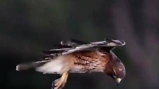 Floating at the sky ????
