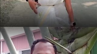 Capcut new trending music video watching now and subscribe my channel