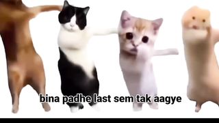 Funny videos ????