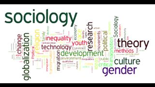 The Sociology