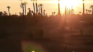 Sunset in nature
