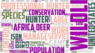 Choose the best weapons to hunt different types of animals