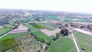 لیلا Layla #viralvideo #foryou
