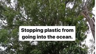 Recycling Plastic Trash from River (sungai)