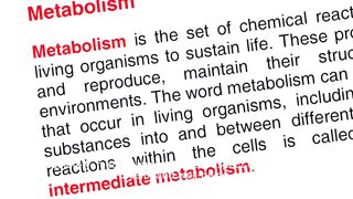 Understanding your resting metabolic rate for optimal health and fitness