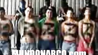 Mexican cartel