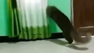Very Funny video