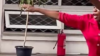 Vidéo drole