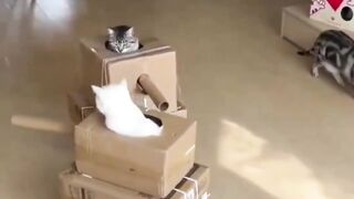 Tank War Fare Funny Pets