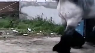 #funny