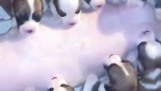 #funny