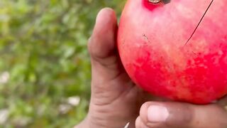 Fruit cut of video