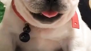 #funny