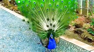 #funny