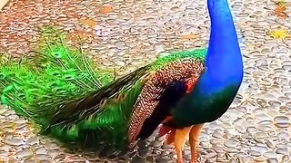 #funny