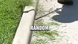 Random facts