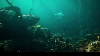 world of warships game