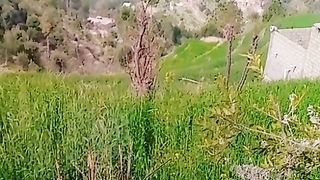 Kpk Pakistan Dir lower