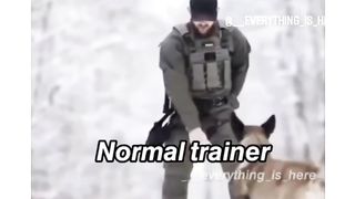 Best animal tranner don’t miss last one