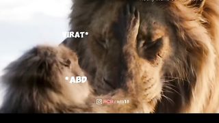 Watch to end