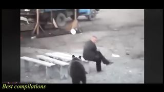 Russia making fun of bear - Meanwhile in Russia.