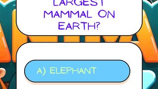 The largest