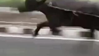 Speed ????????????????????????????????????