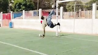 Must watch please donate a dollar to support my channel PayPal account erhnestamuganda@gmail.com support for more
