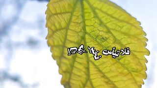 فلا تيأس ????