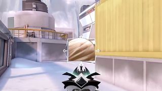 viper detected poison