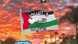 فلسطين وغزة في القلب