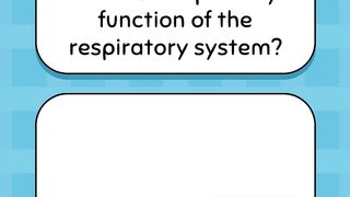 Respiratory System and voice production 10
