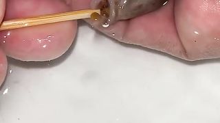 Emperor fish giving birth to 70 baby fish. ???????????? #fish #fishvideo.