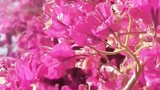 A beautiful nature