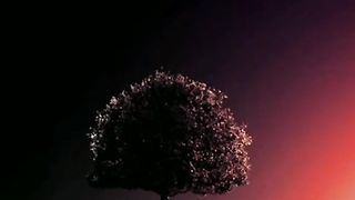 من سورة نوح الآيات 10 - 14