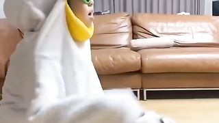 잘 훈련된 강아지 #funny.