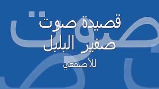قصيدة صوت صفير البلبل للأصمعي باداء جميل