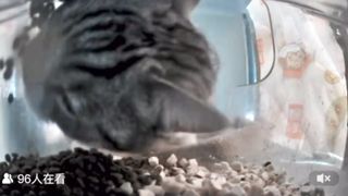 Mr. Catch | Part-2