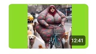 very funny videos