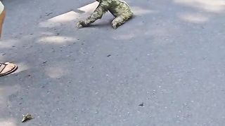 Man Rescues Stranded Sloth with Help from Another.